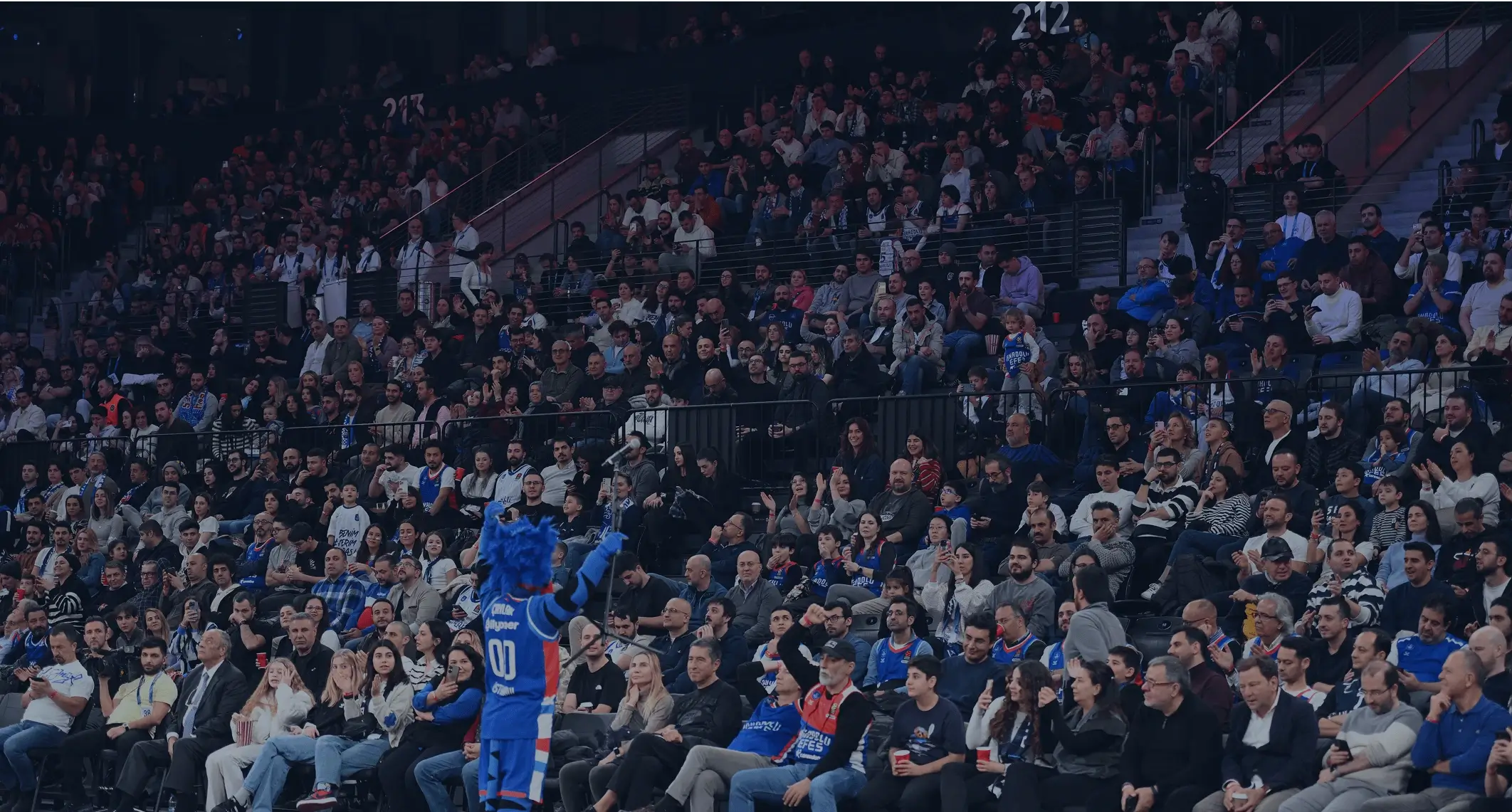 Anadolu Efes Kombine Avantajları